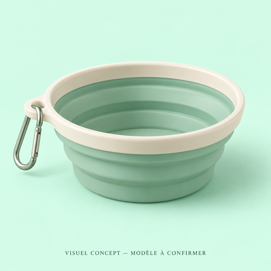 Visuel concept — Gamelle de voyage pour animaux DEENII ; modèle fournisseur à confirmer.