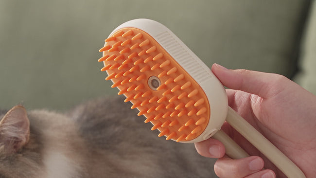 Brossage doux d’un chat avec la brosse à brume DEENII